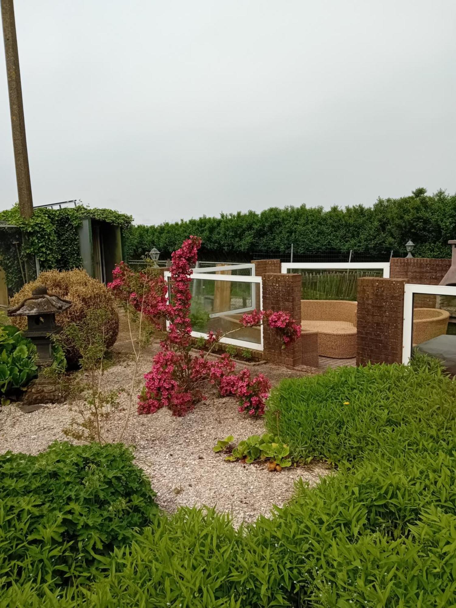 B&B De Kaagse Koe Huigsloot Exteriér fotografie